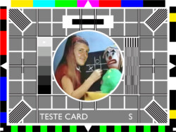 Although I’d replaced Carole Hersee’s face with my own on a testcard found online much earlier, I decided that I HAD to accurately recreate the entire test card in pristine vector-based graphics. This was despite not needing to for any purpose whatsoever. It was not quick or easy. (2019)