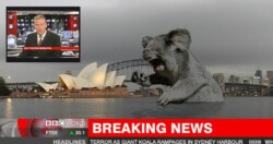 Just random project with no purpose.